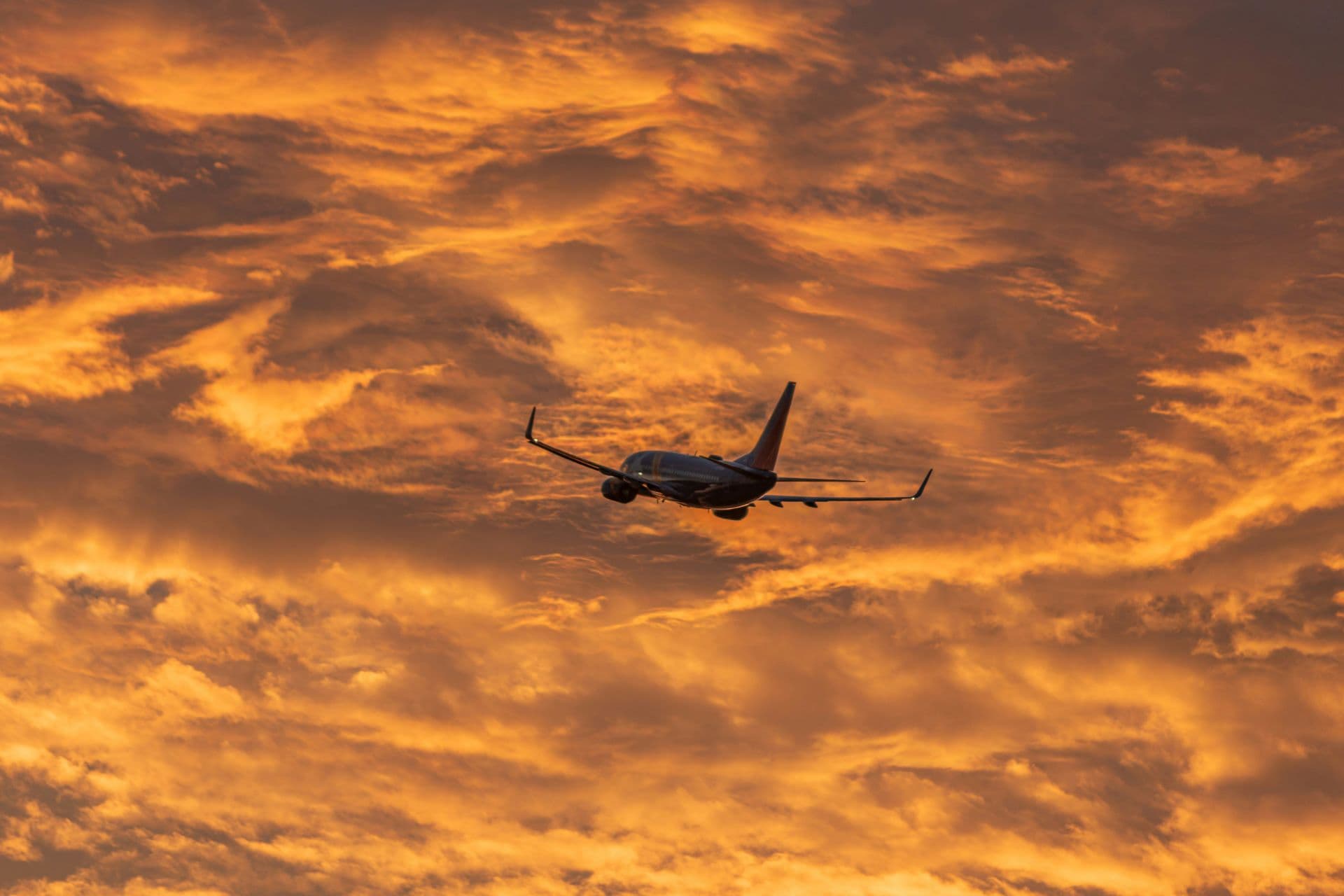 Accessible Skies: How Airlines Enable Inclusive Travel