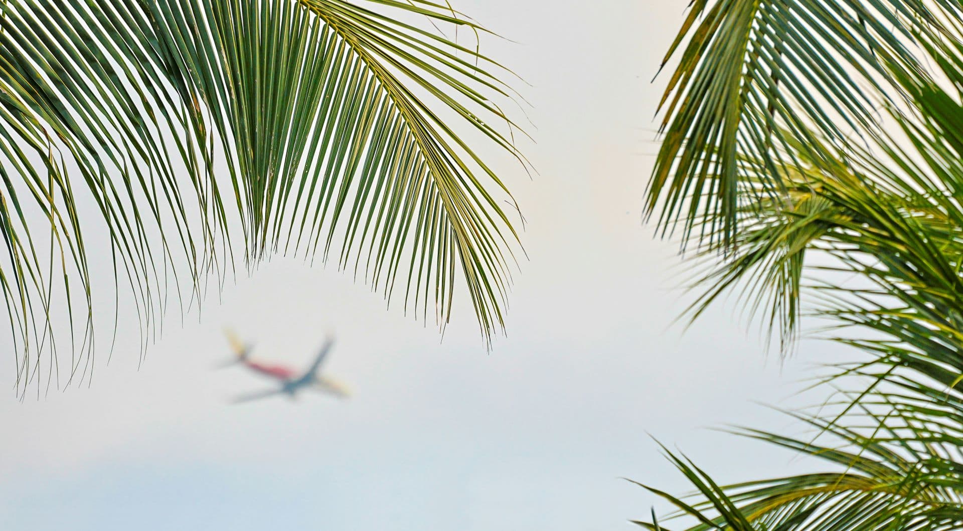 Airline Reputation Shapes Tourism Confidence & Choice