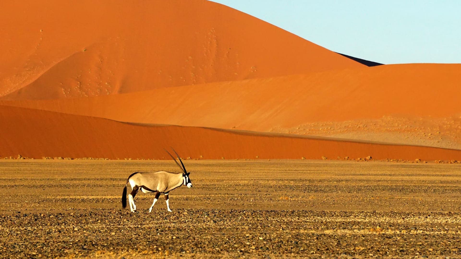 Booking Airline Tickets To Namibia
