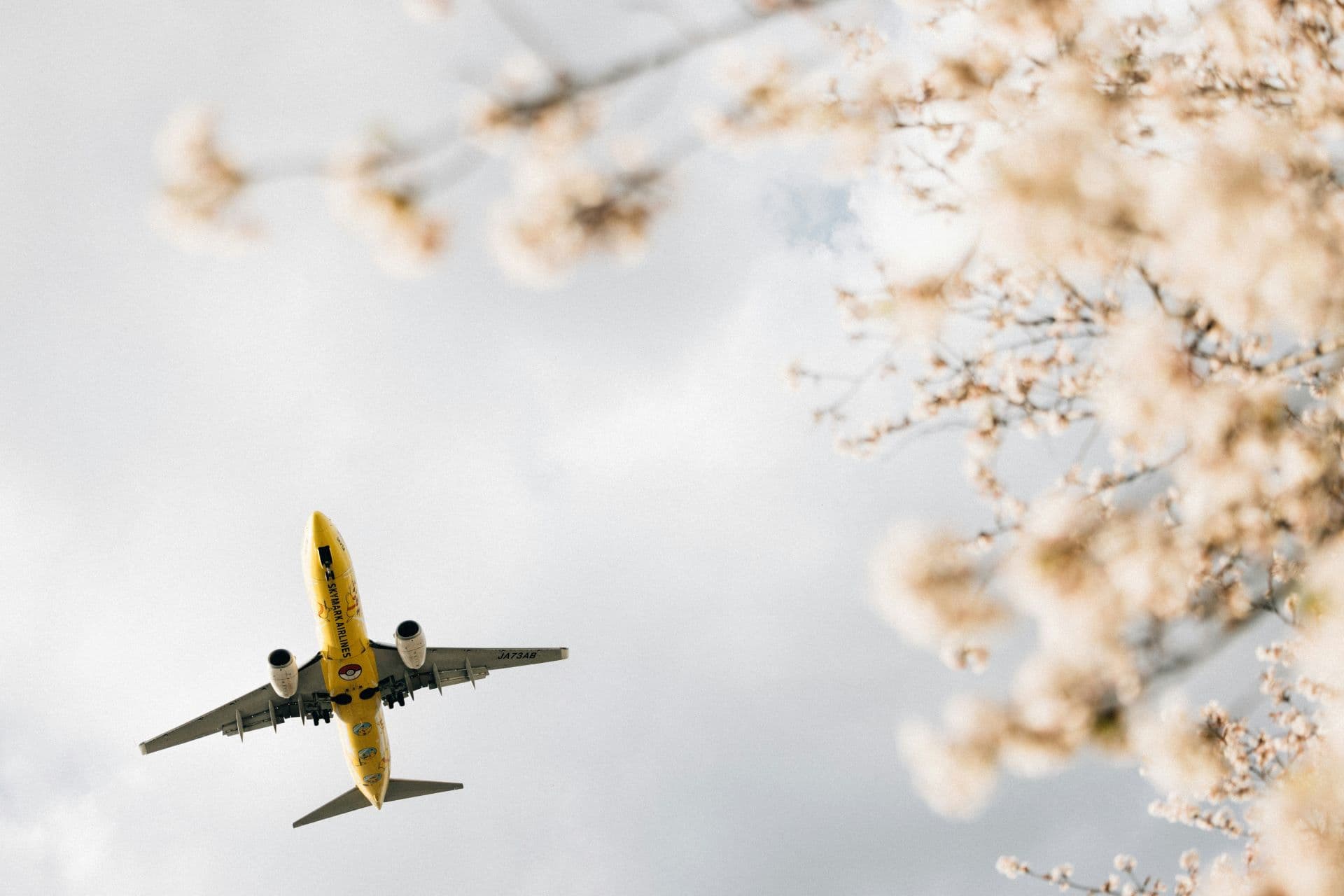 The Impact of Airline Connectivity on Global Tourism Recovery Post‑Pandemic