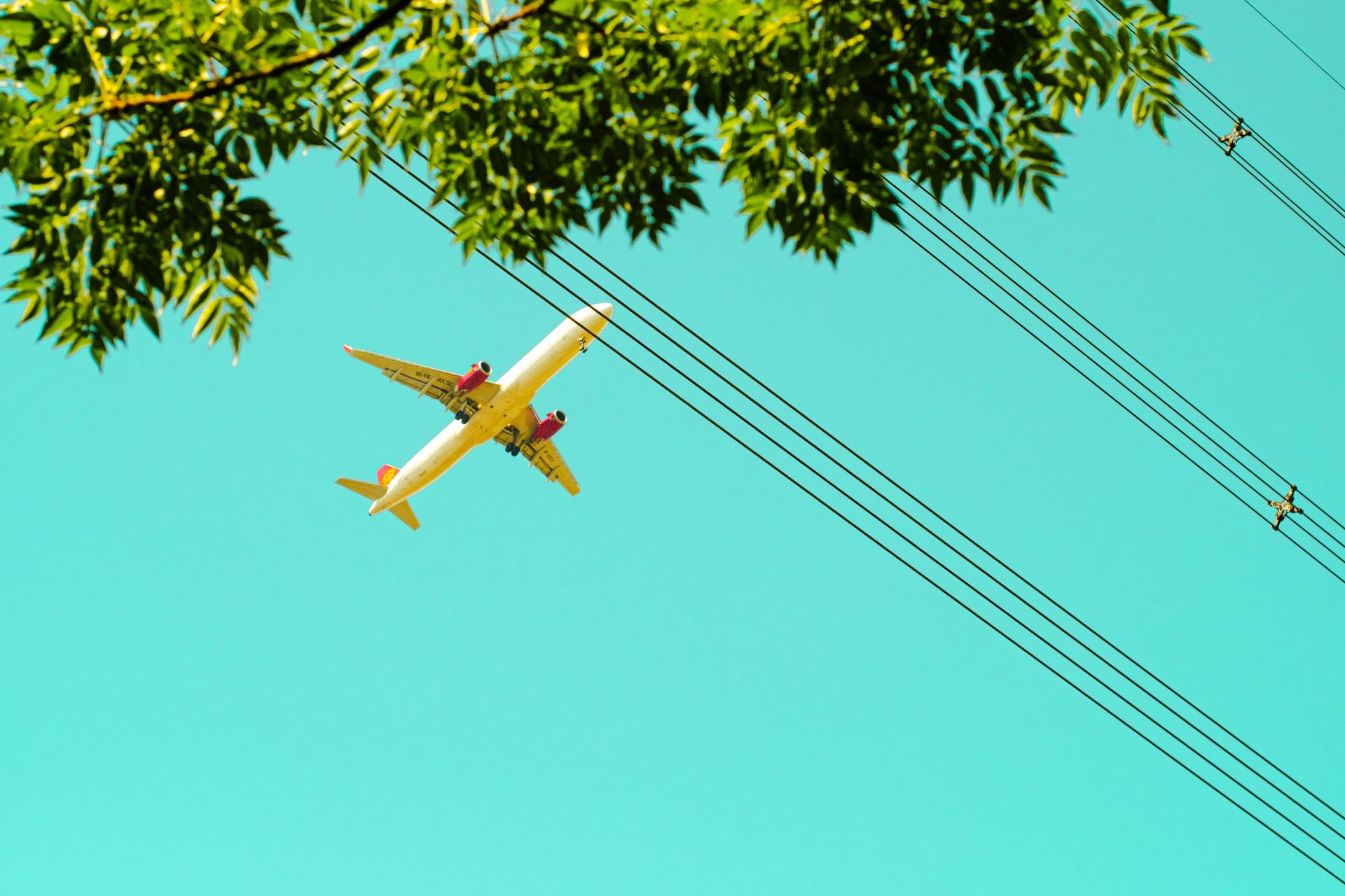 the-environmental-cost-of-commercial-aviation-1