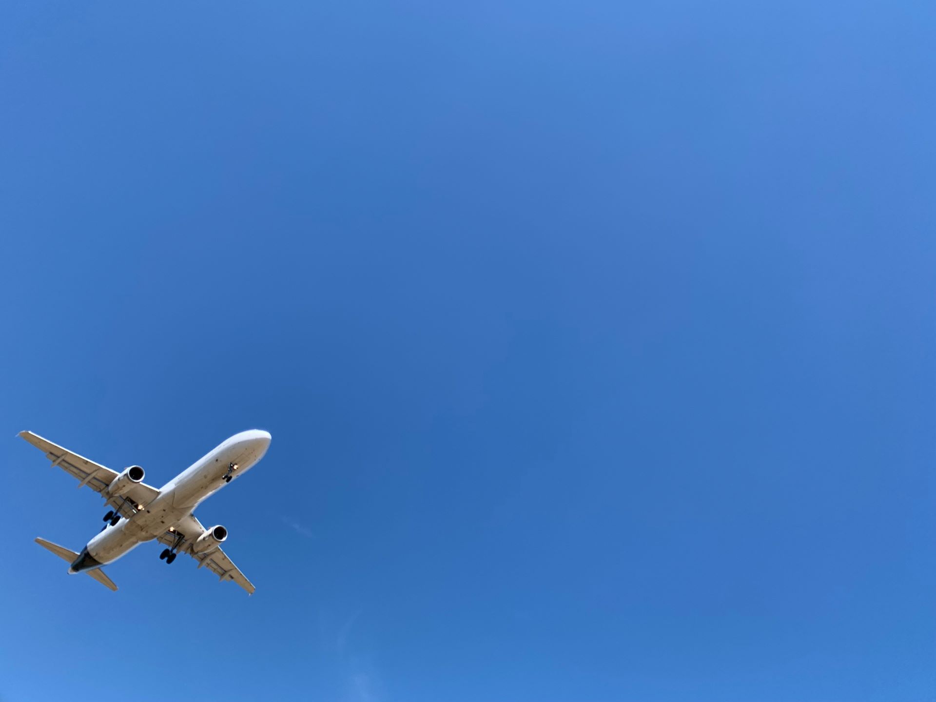 Airline Reputation Shapes Tourism Confidence & Choice-1