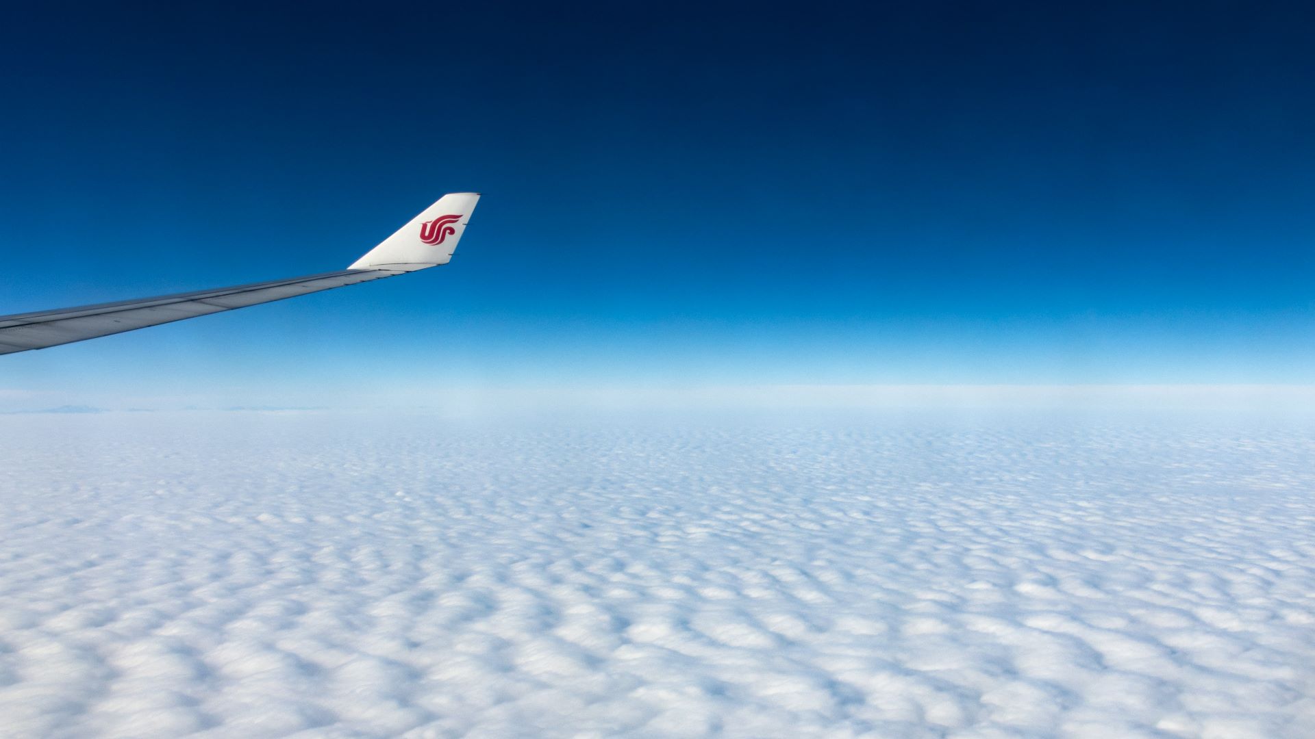 Culinary Journeys by Air Tasting the World Before You Land-1.jpg
