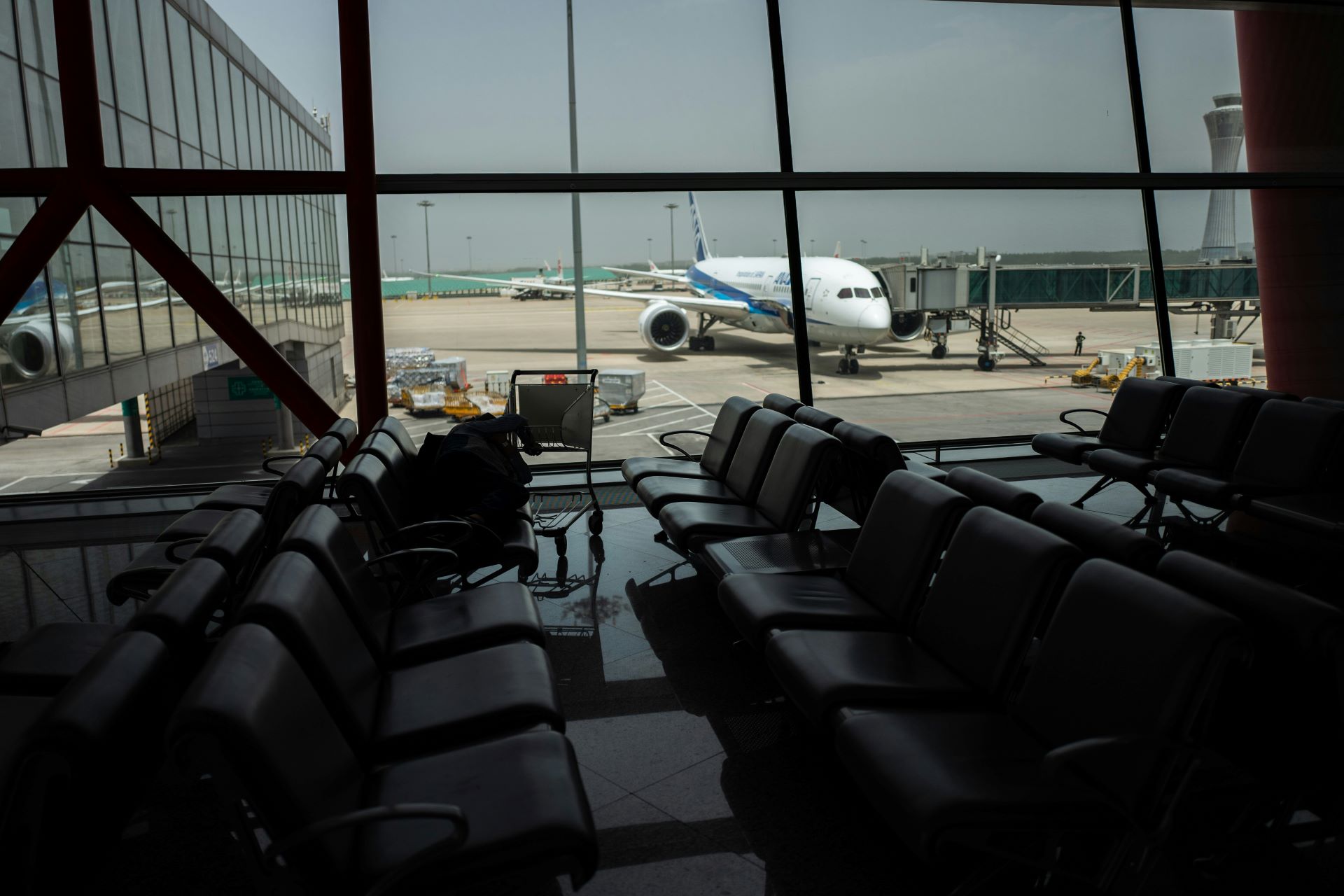 How Airline Schedules Reveal Real Traveller Demand