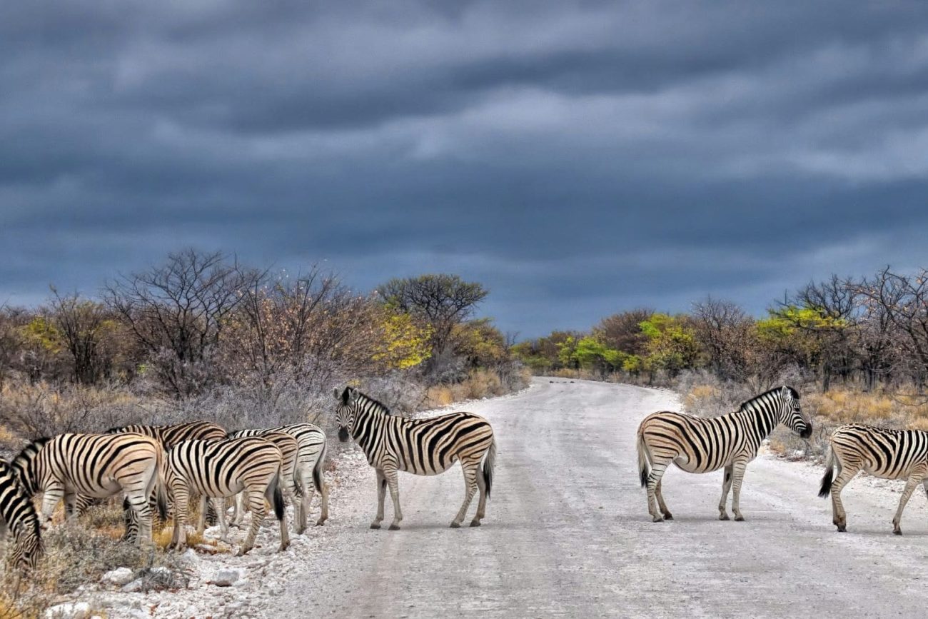 best-time-to-visist-namibia-1300x867.jpg
