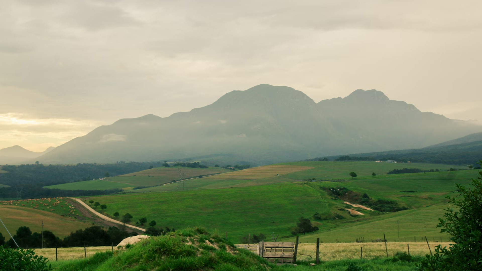 garden-route.jpg