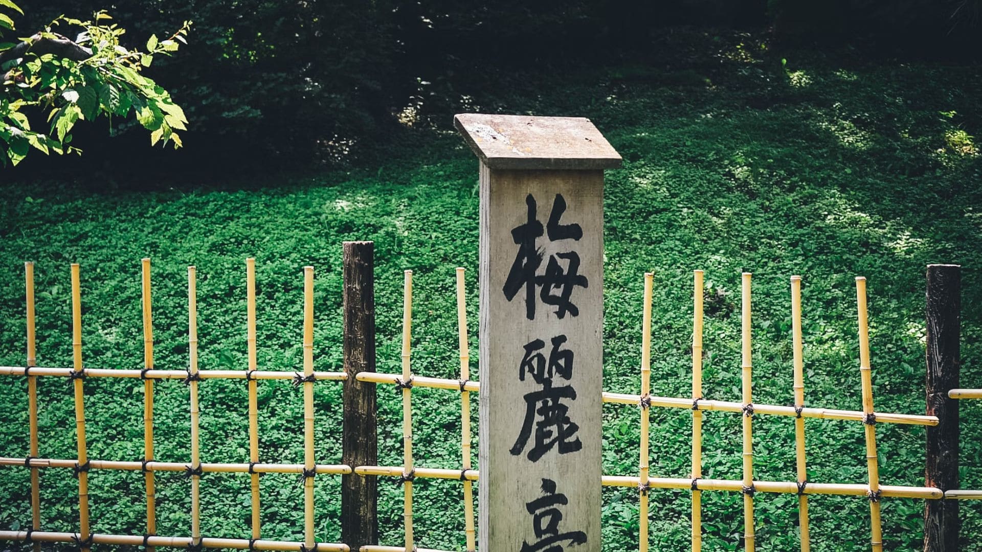 language-tips.jpg