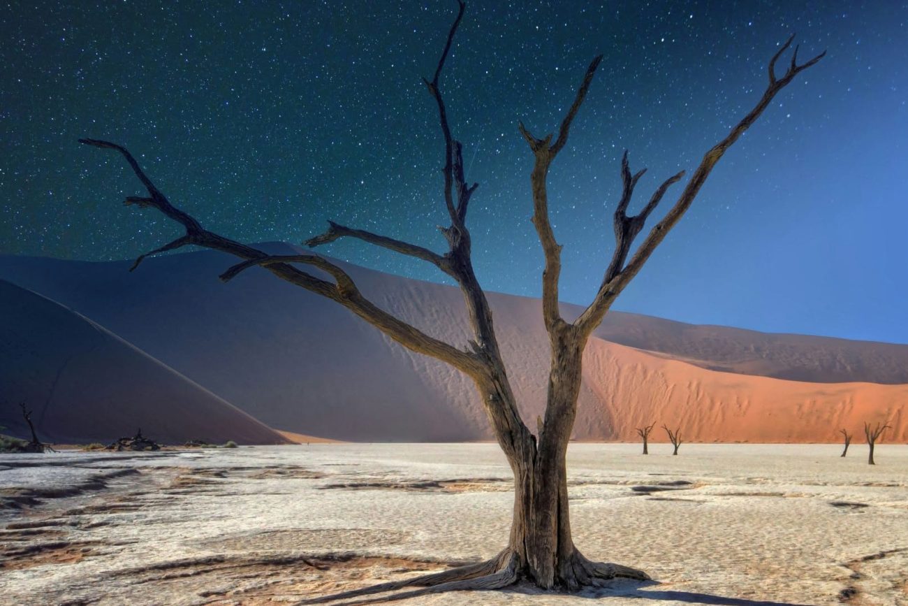 why-namibia-1300x867.jpg